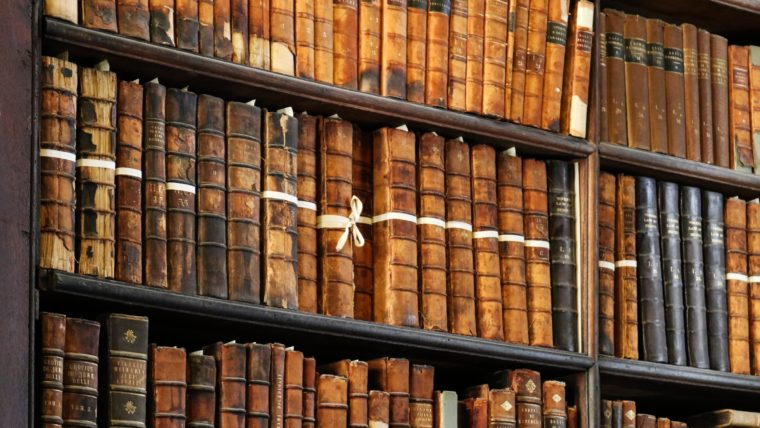 Requirements, Procedures, Timeline, and Options for establishing a Joint Stock Company and Registering in the Importers Register